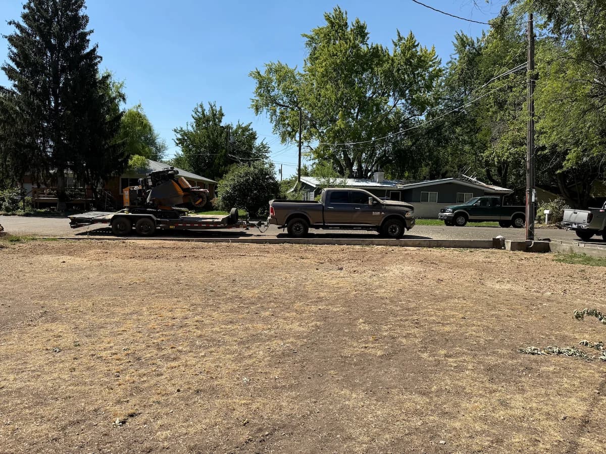 Land clearing and multiple stump removal