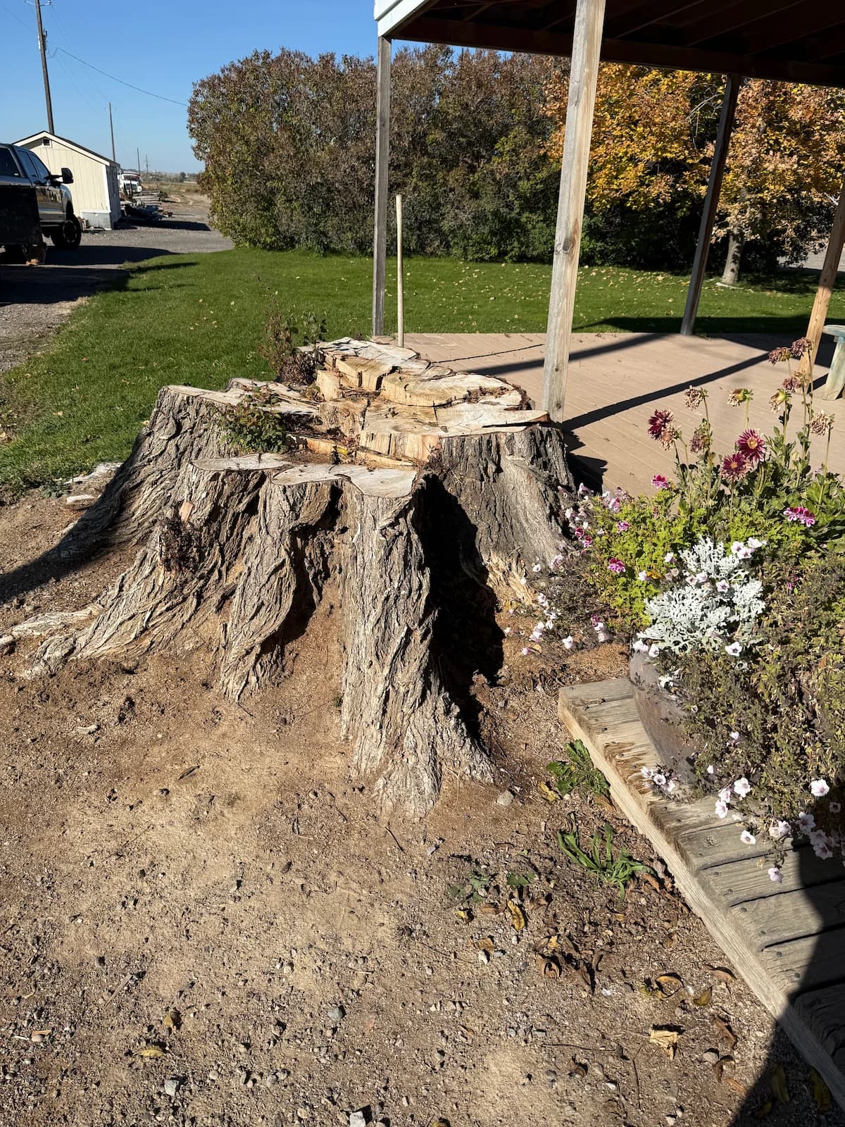 Stump grinding work example 3