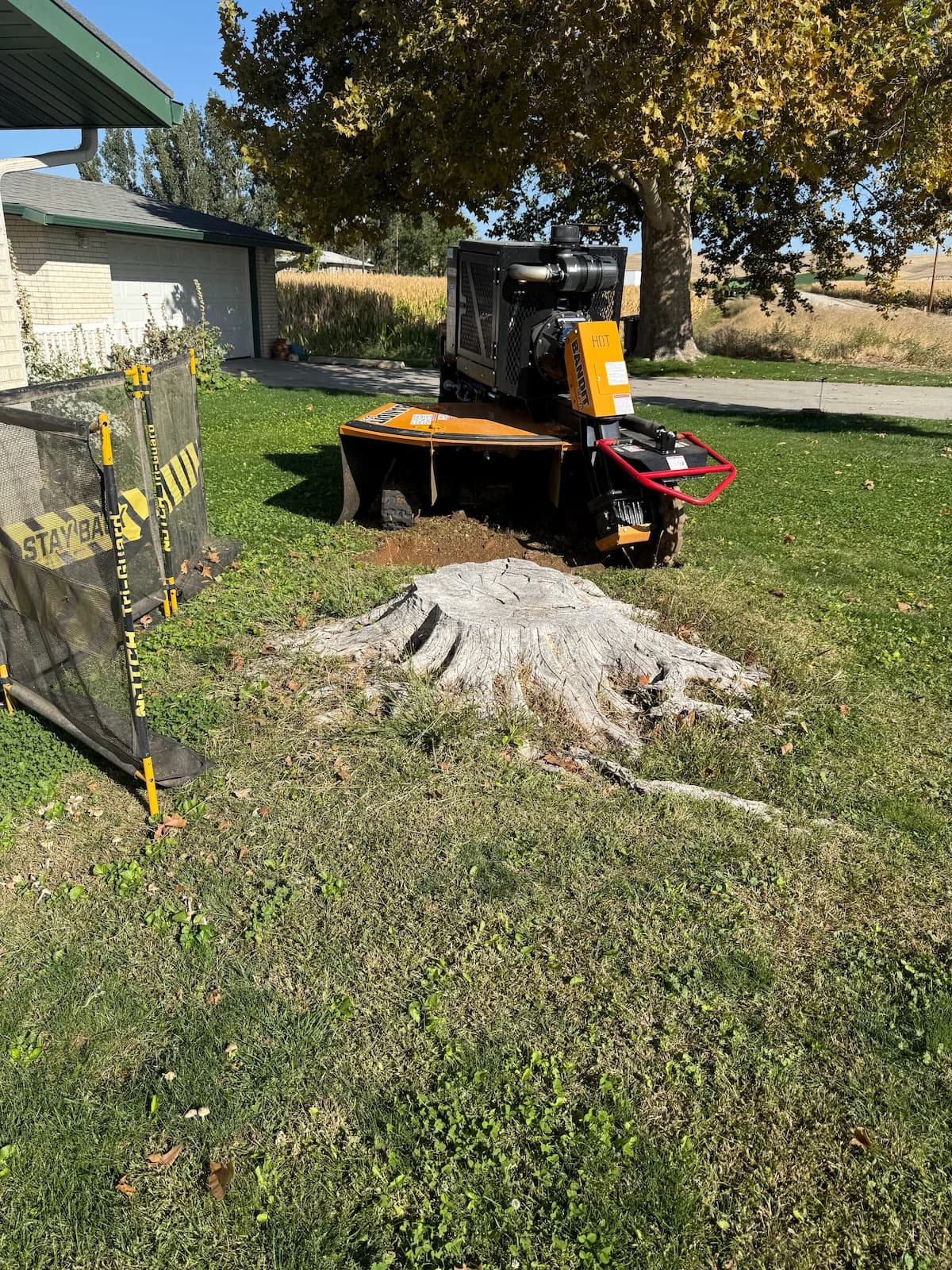 Stump grinding work example 4